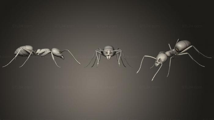 Статуэтки животных (Жуки-насекомые 141, STKJ_1729) 3D модель для ЧПУ станка